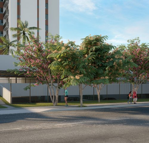 Entrada de veículos