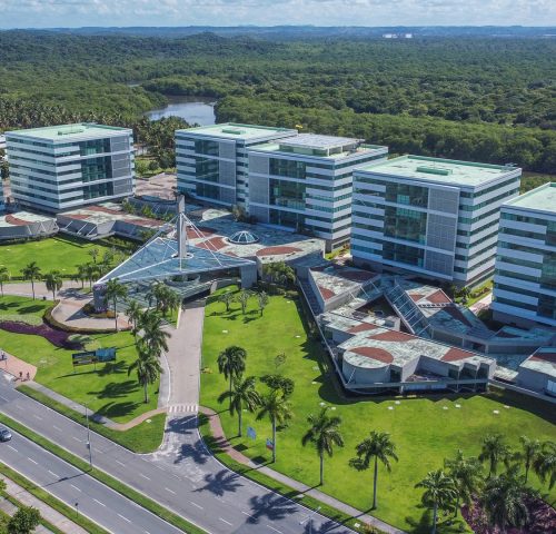 Novo_Mundo_1920x1080_0