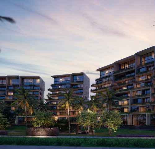 TORRE ANIMA, SANO E VITA 02